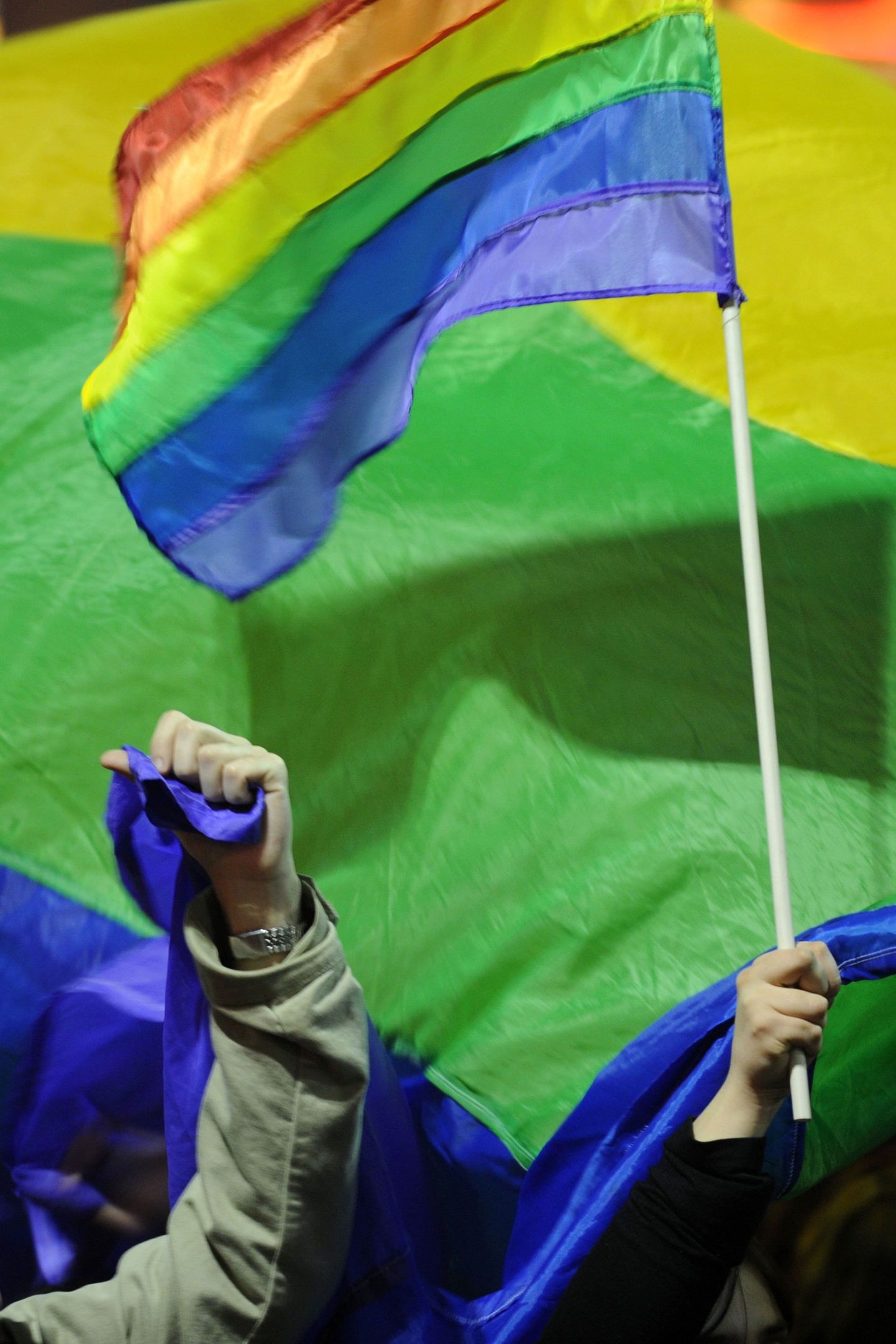 Peterburis tahetakse keelata moraalivaba homopropaganda