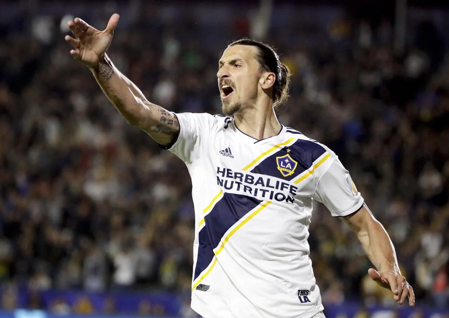 Zlatan Ibrahimovic