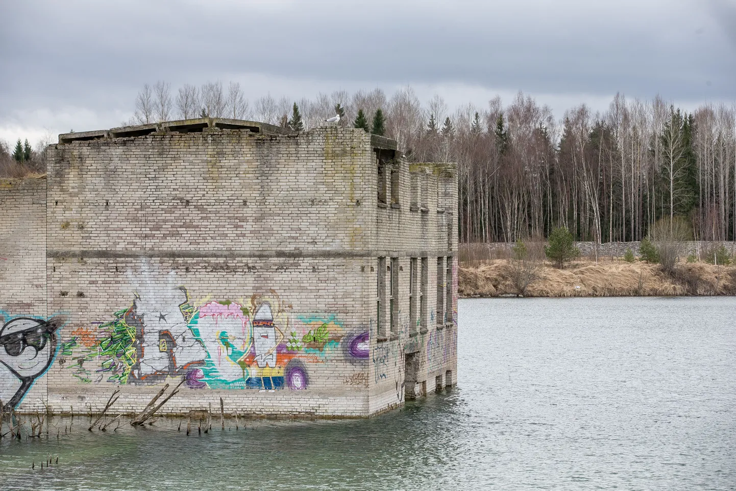 Rummu karjäär.