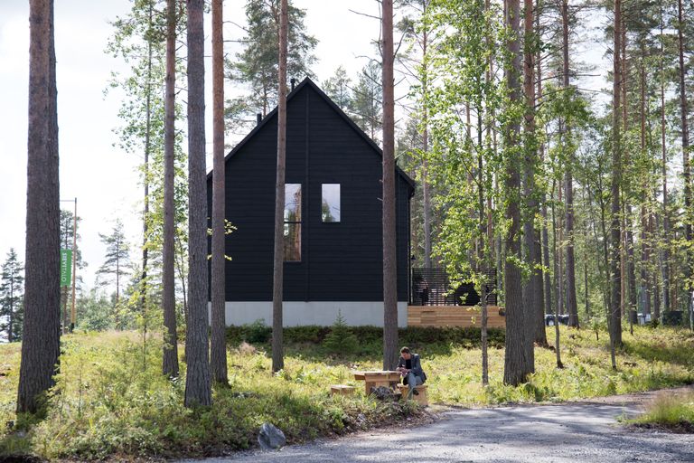 Mustikamaaga ümbritsetud eramu autor on arhitekt Tanja Rytkönen.