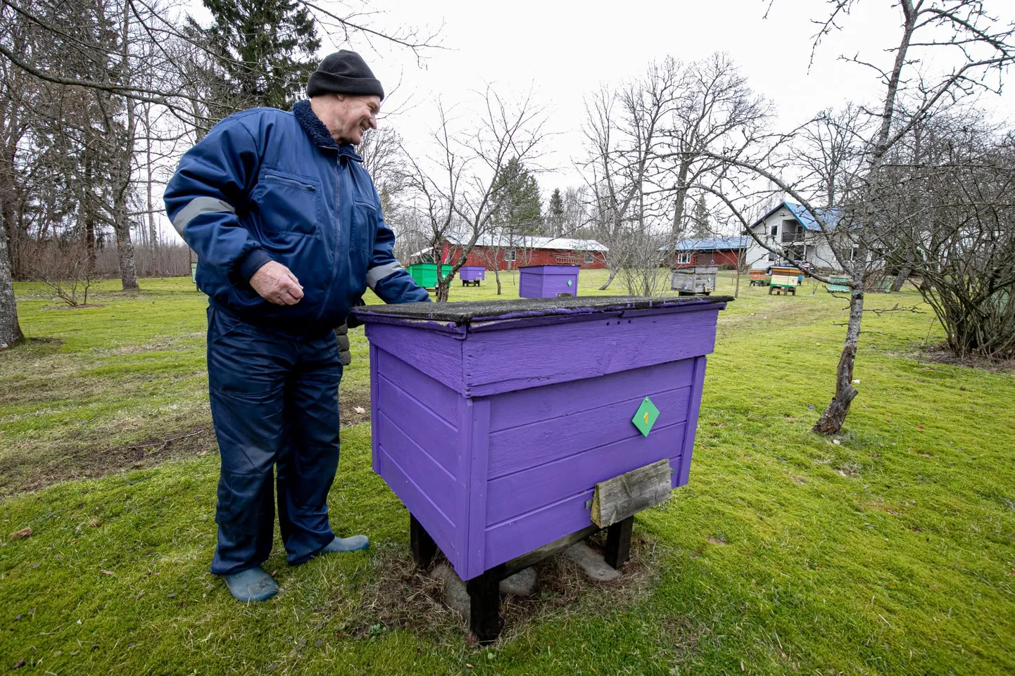 “Mesilased tulid taru peale päikese­laigu sisse, aga lendu nad veel ei läinud,” lausus Mesila ­talu peremees ­Vahur Talimaa.