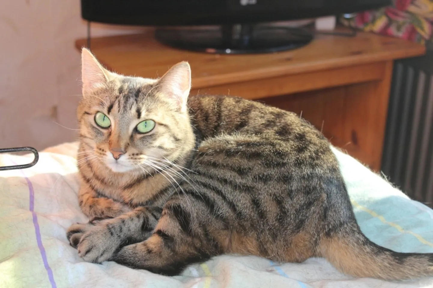 Fiona.