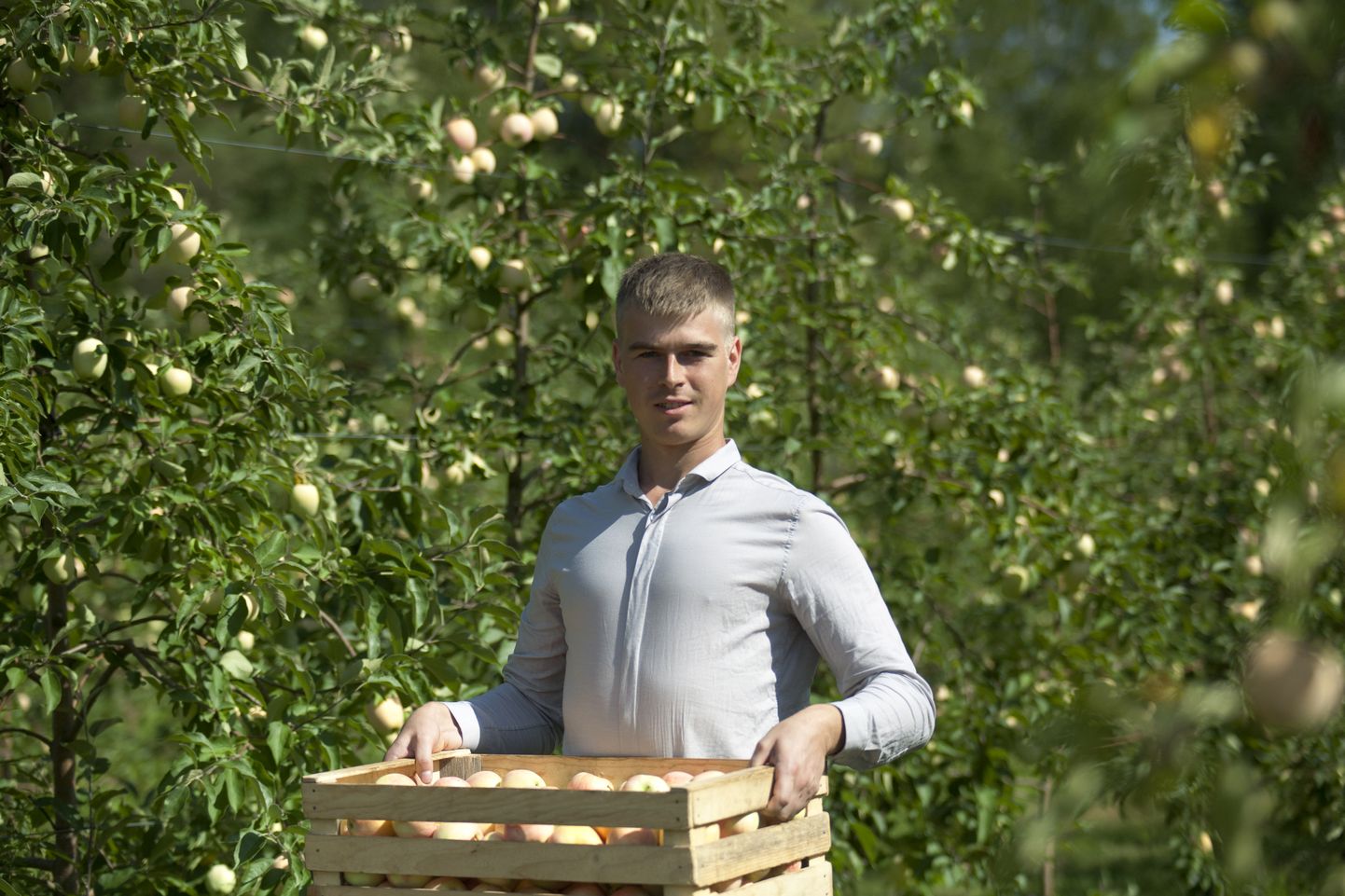 „Minu jaoks on paeluv see, et õunakasvatus on Eestis täielikult arendamata, me oleme saanud olla teerajajad," ütleb Halika Õunatalu juhataja Lauri Kasvand.