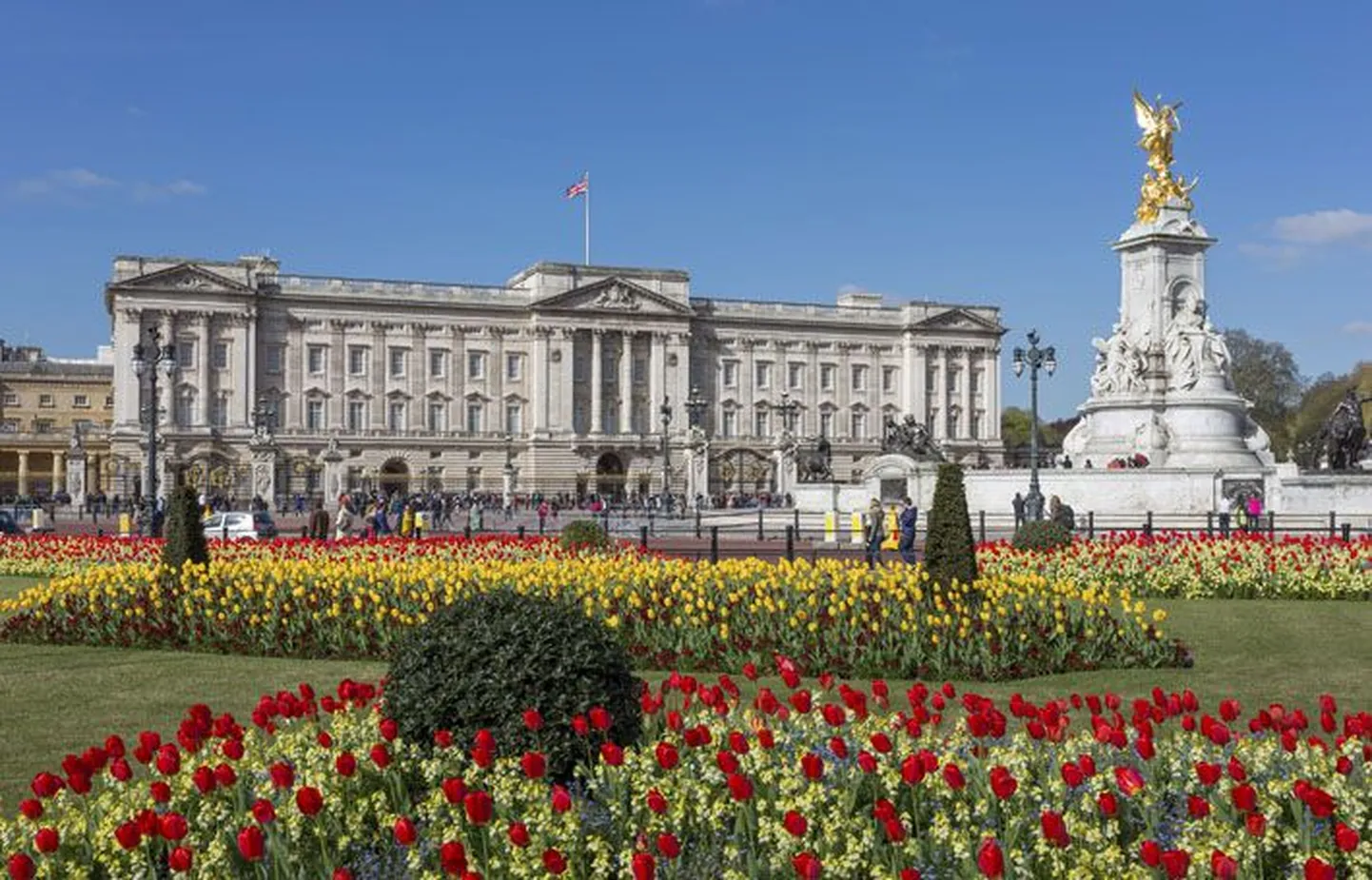 Londonis käies ei saa üle ega ümber Buckinghami paleest, mida turistihordidest piiratuna küll vaid eemalt vaadata õnnestub.