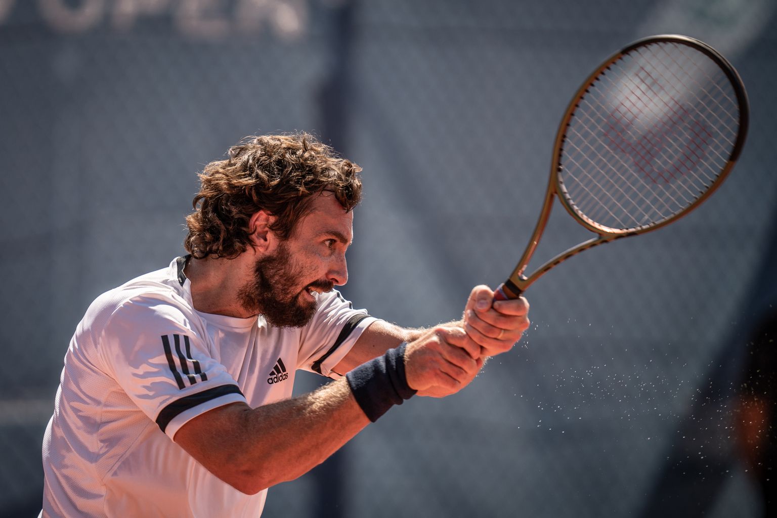 Ernests Gulbis