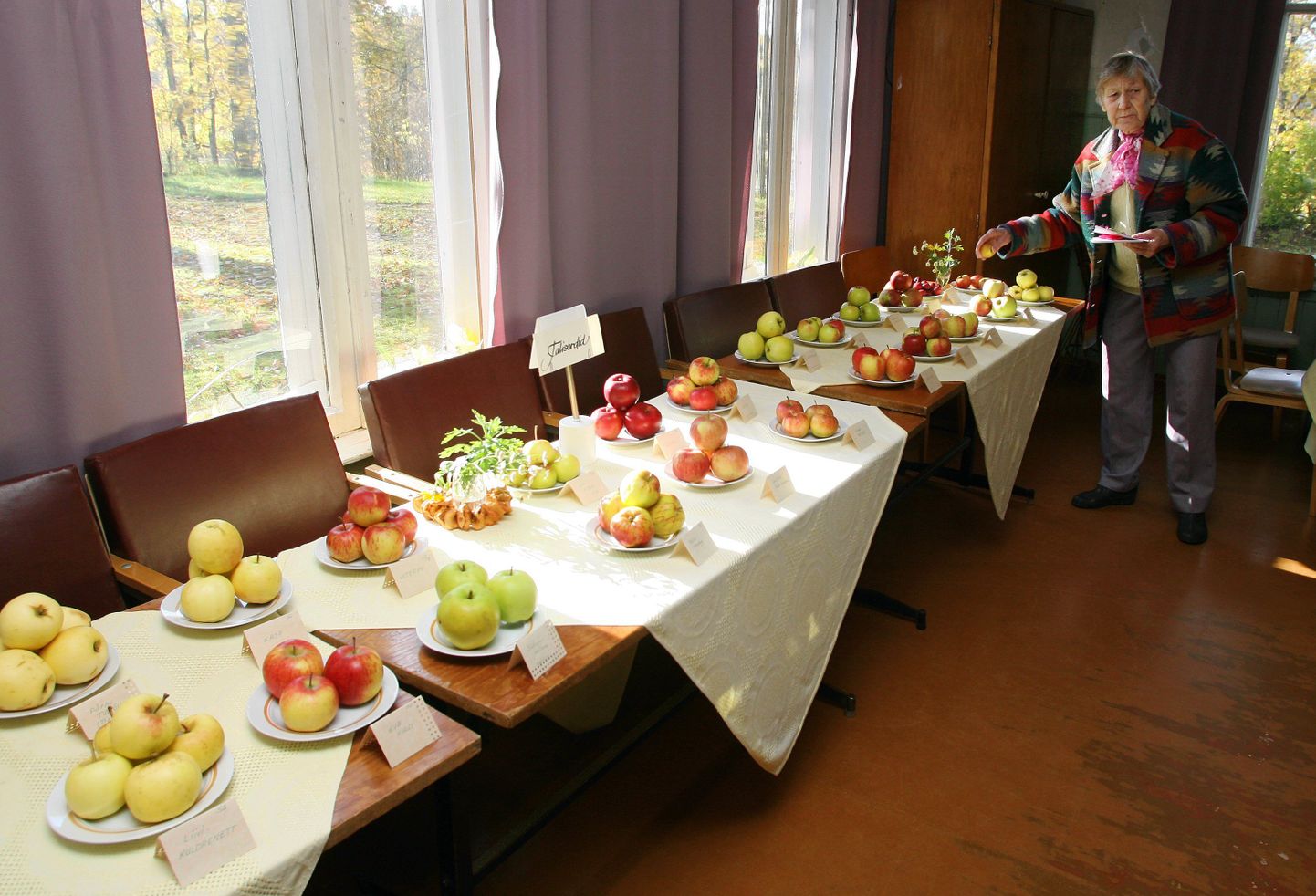 Näitusel oli 28 sorti õunu.