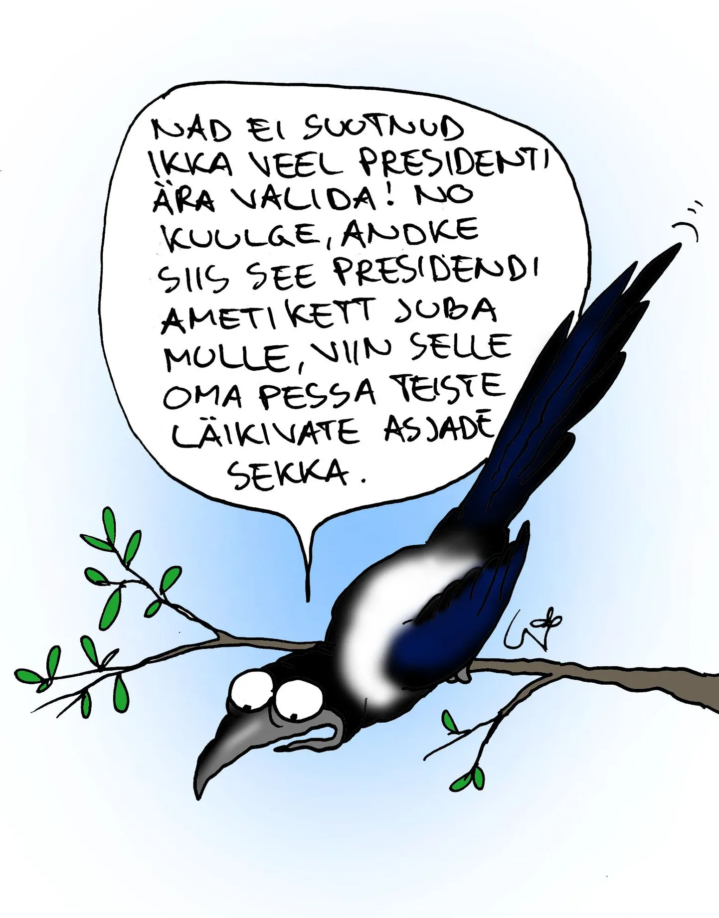 Artikli foto