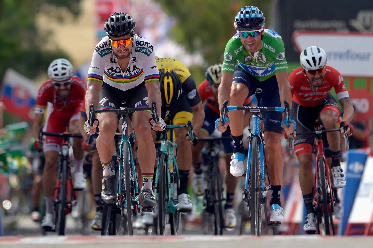 Peter Sagan ja Alejandro Valverde