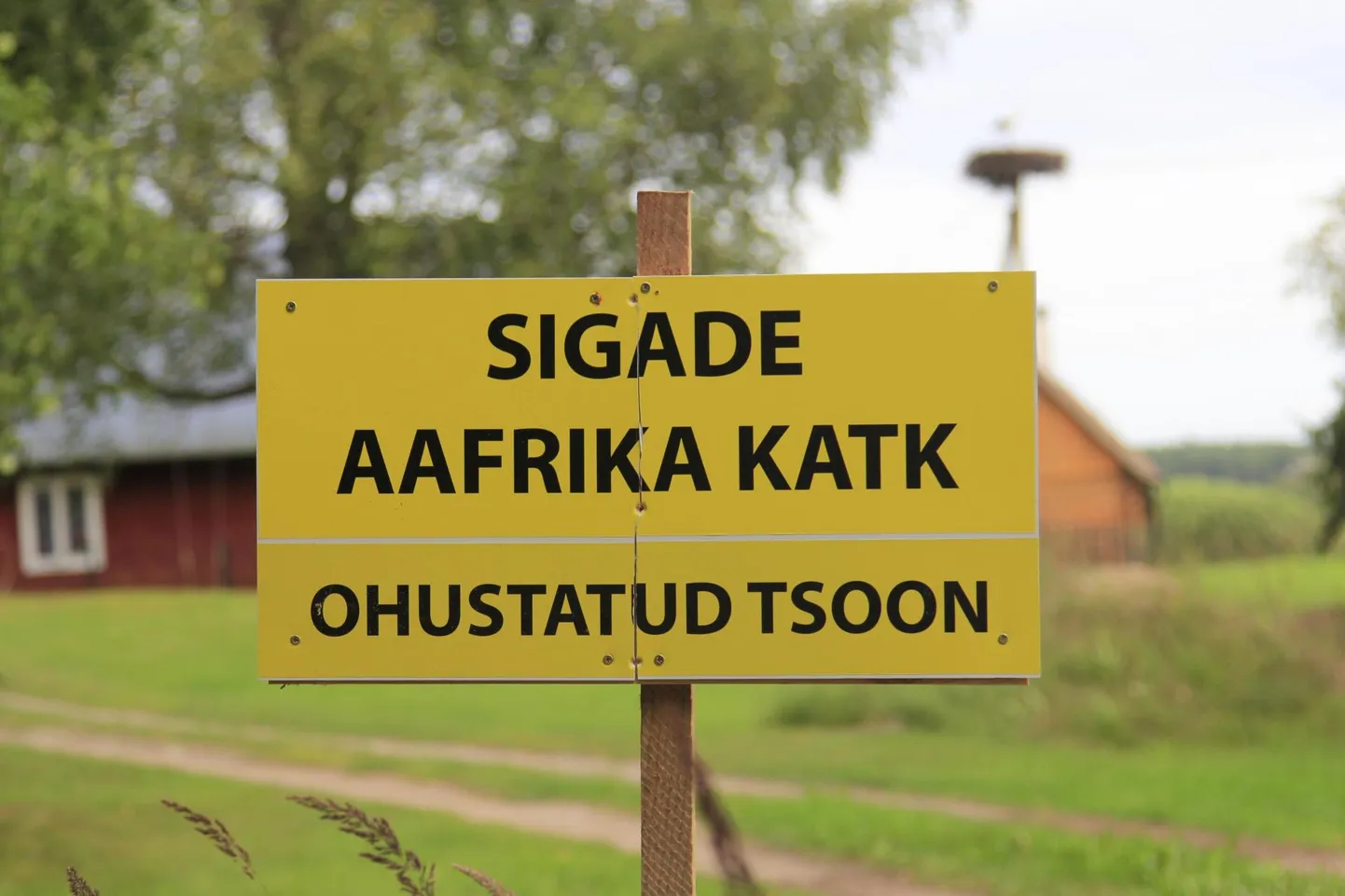 Oluline on, et katk ei jõuaks enam kodusigadeni.
Arhiiv/Valgamaalane