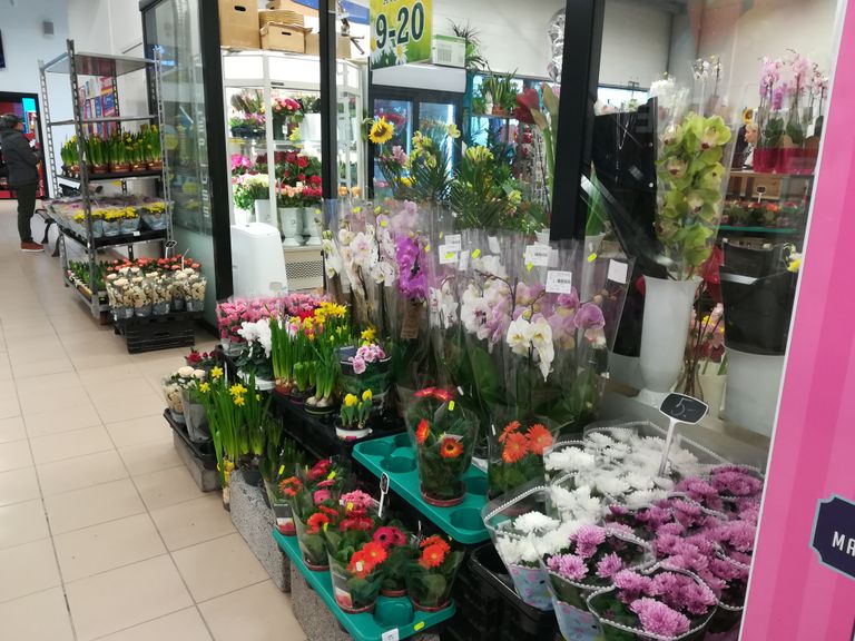 Lillepood Maksimarketi juures
