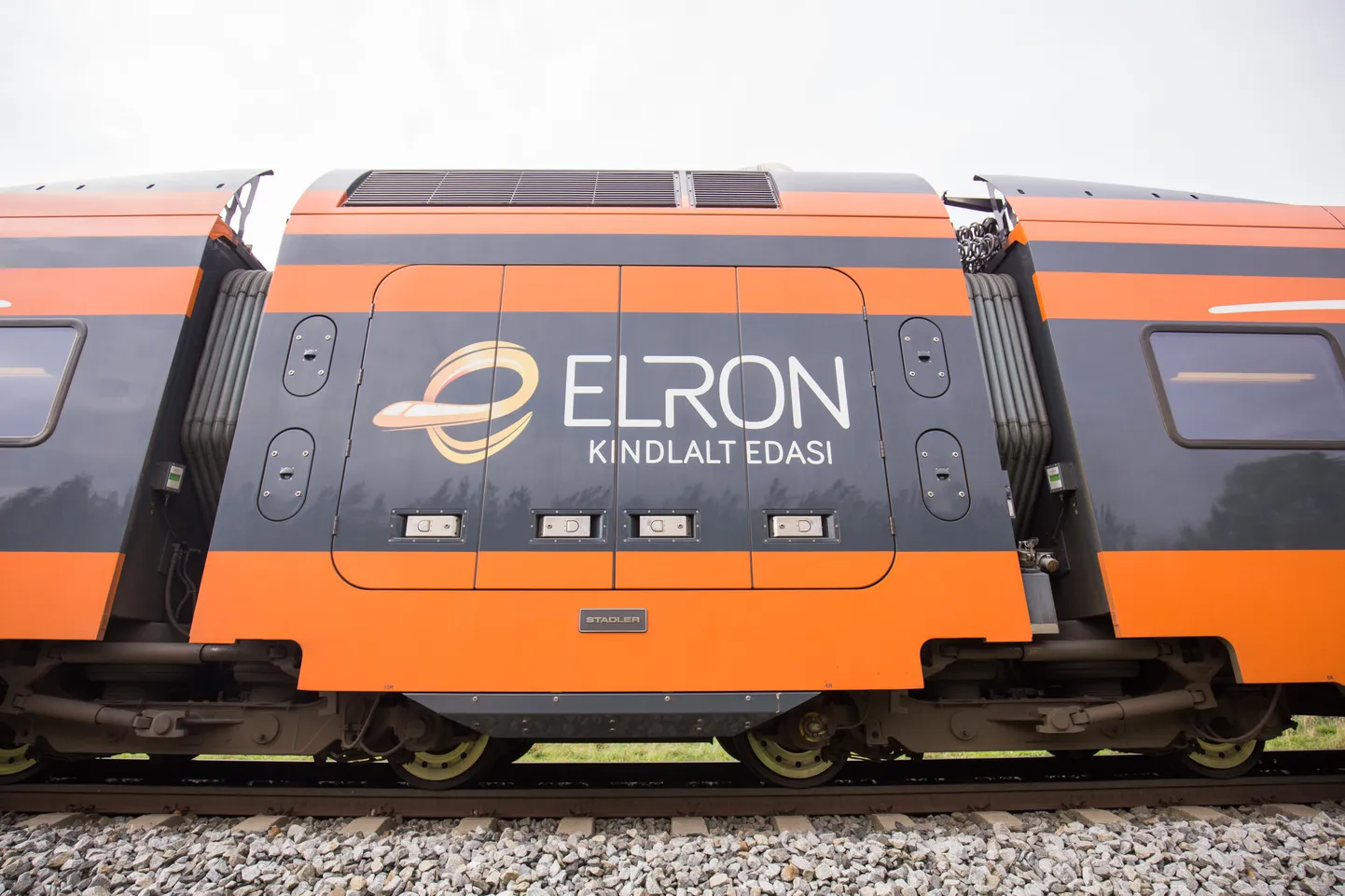 Elroni rong.