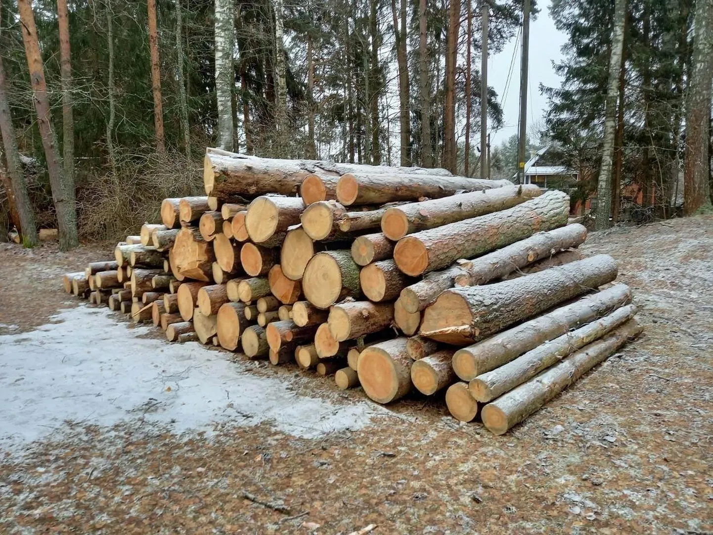 Muist oksjonikaupa on ostja ootel Kurepalu lauluväljaku naabruses.