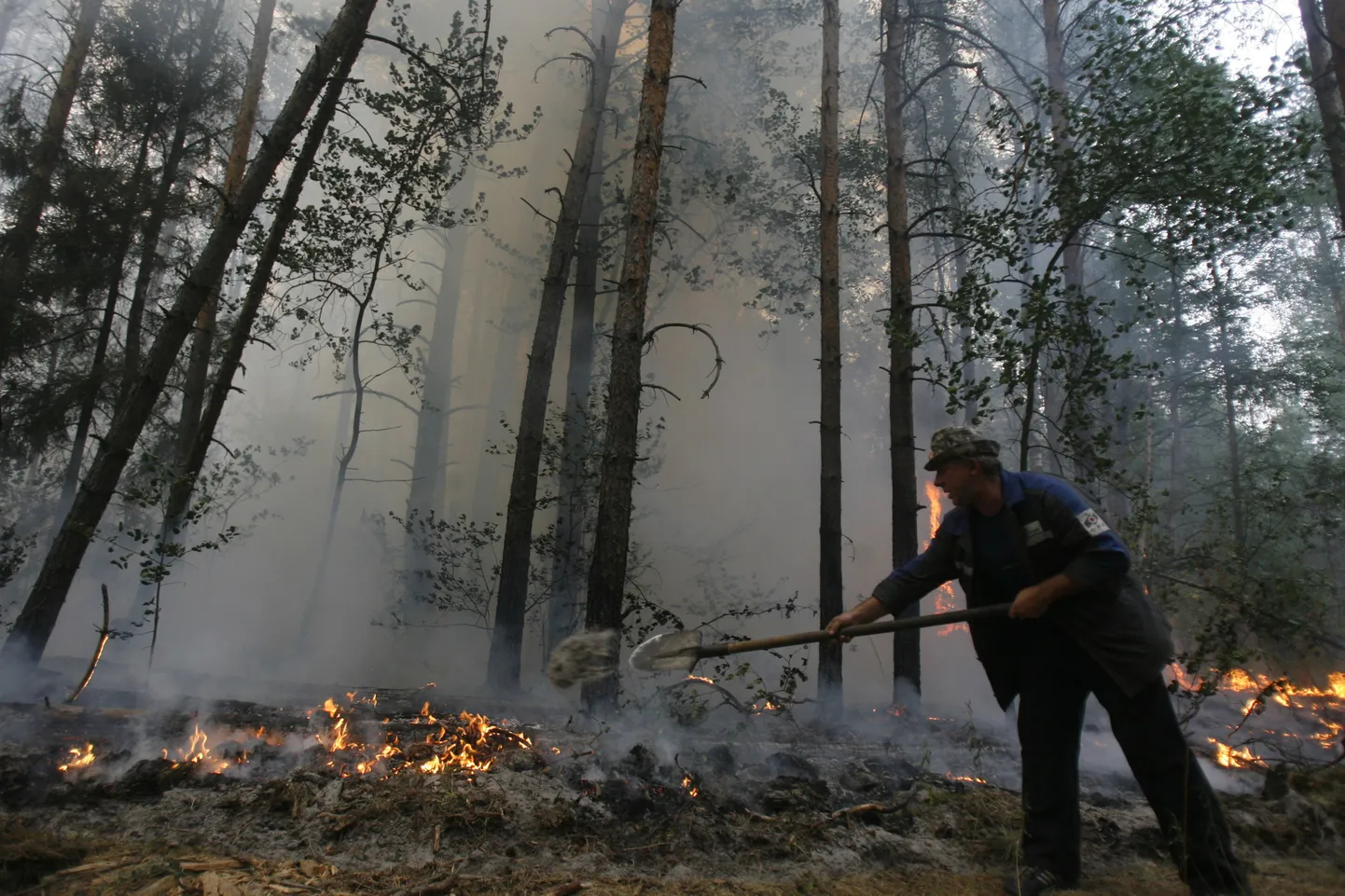 Metsapõleng Venemaal