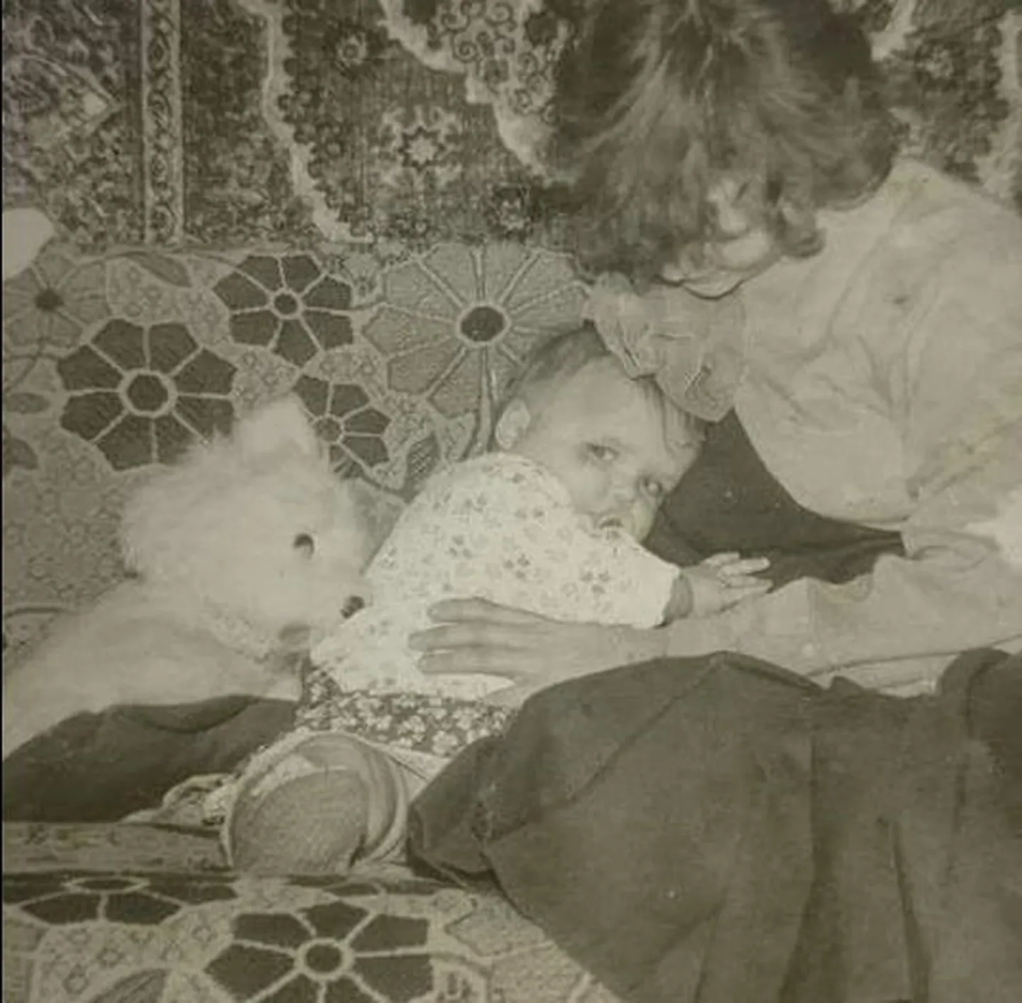 Artikli foto