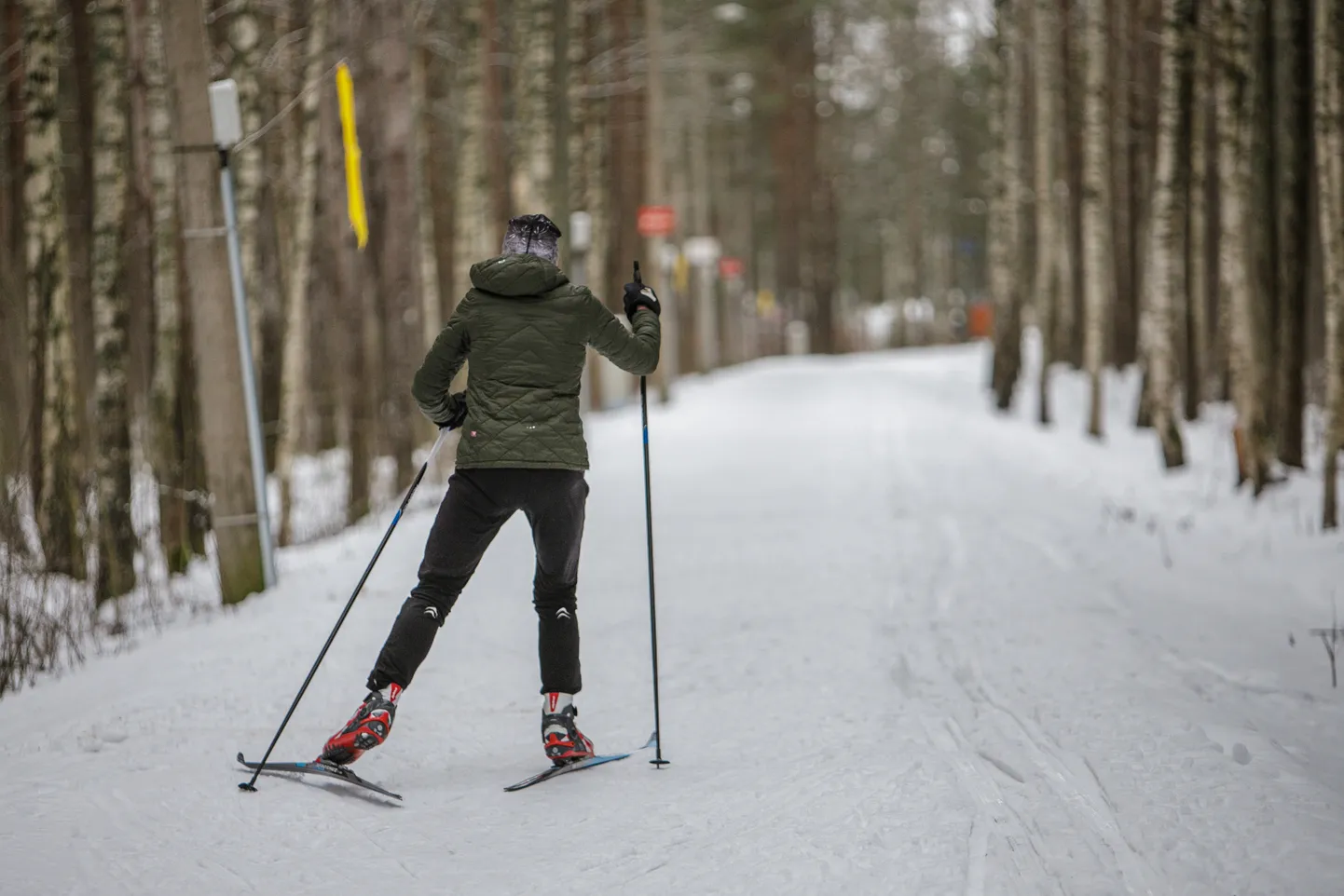 Tervisesportlane suusarajal.