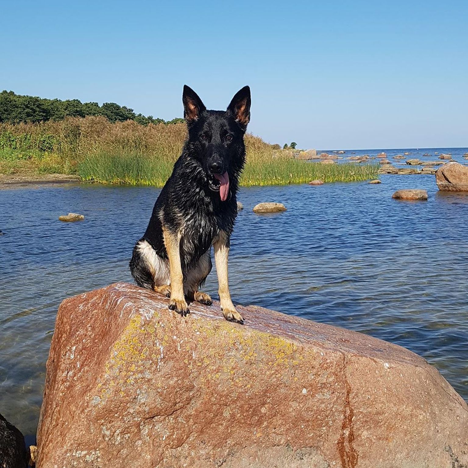Rei puhkehetkel