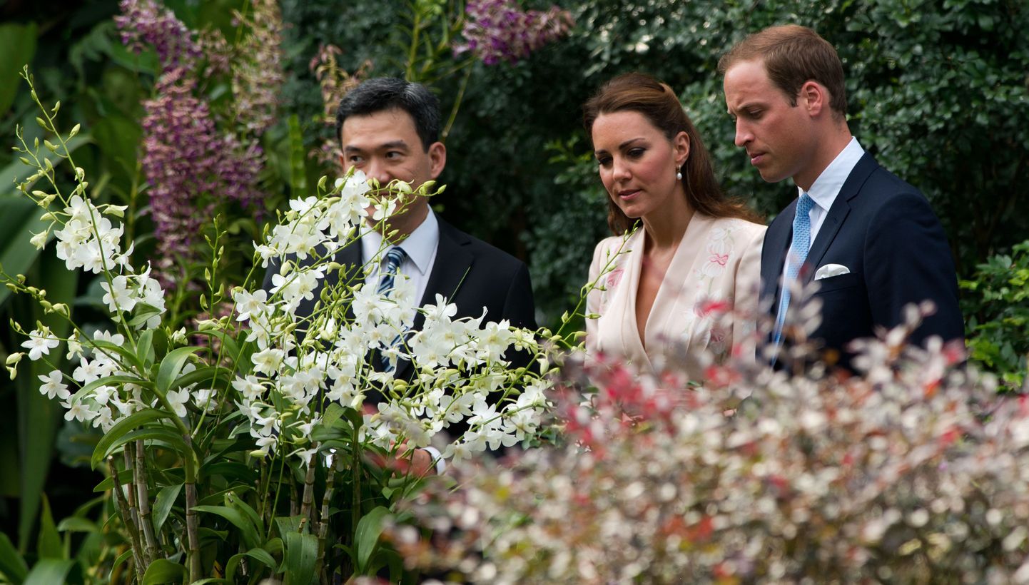 Cambridge'i hertsog (paremal) ja hertsoginna uurivad Singapuris Diana-nimelist orhideed.