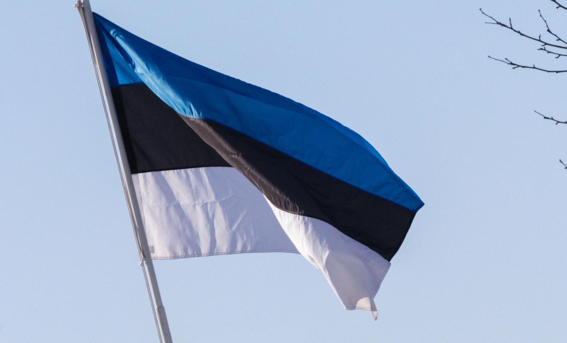 Eesti lipp.