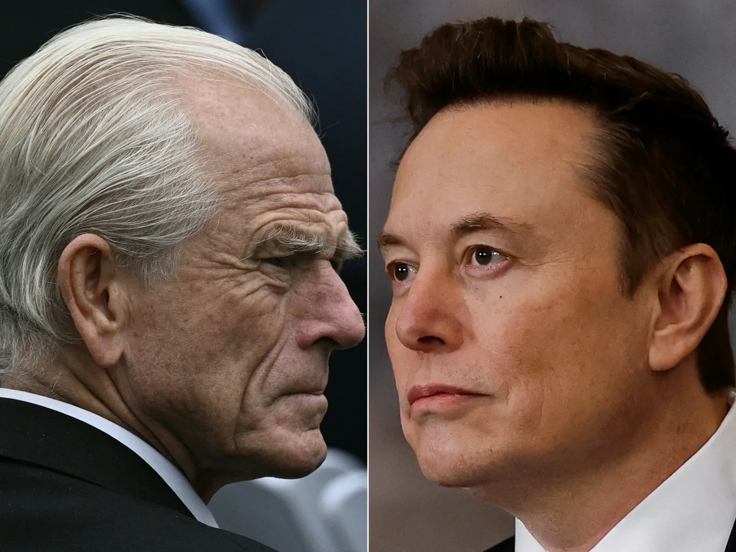 Peter Navarro ja Elon Musk.