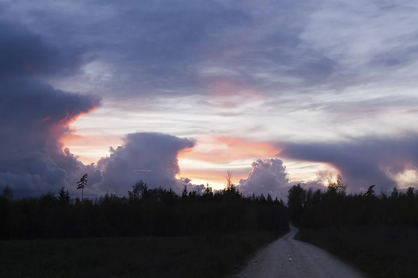 See foto rändas uurimiseks Ain Kallise kirjakasti. Kiirelt laekunud vastuses seisis: «Ilus pilt! Oktoobris vist tehtud, jah? Koos kolleeg Jüri Kamenikuga leidsime, et fotol on nii rünksaju- kui võimsaid rünkpilvi, samuti kiud- ja kiudkihtpilvi.»