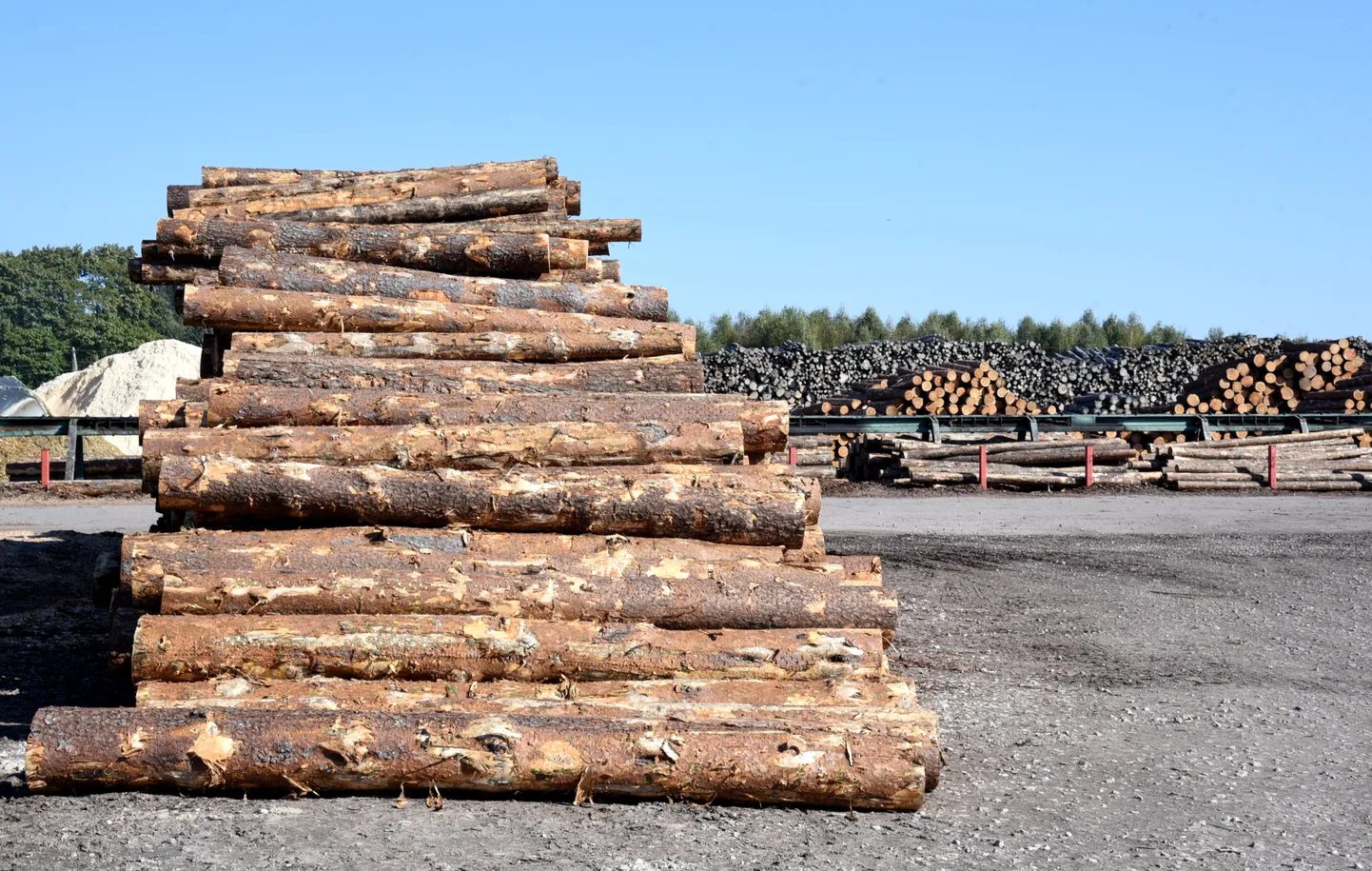 Kokmateriāli kokapstrādes uzņēmumā
