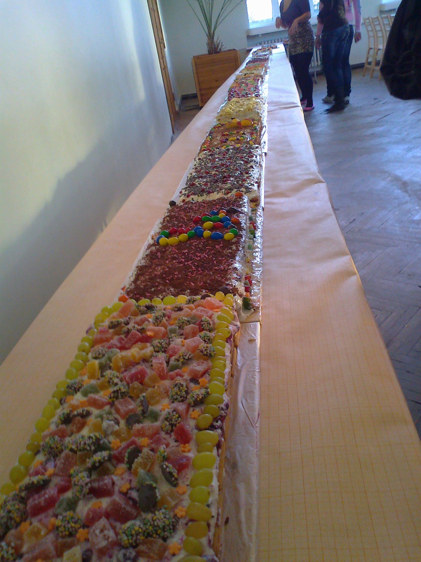 Forseliuse gümnaasiumi sünnipäevaks valminud üheksa meetrit pikk tort.