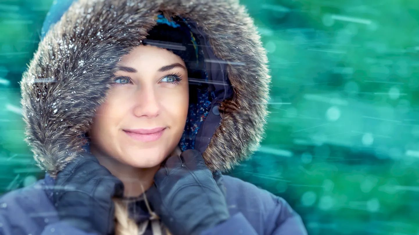 Artikli foto