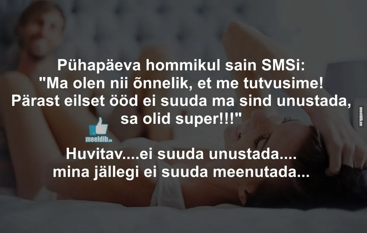 Artikli foto