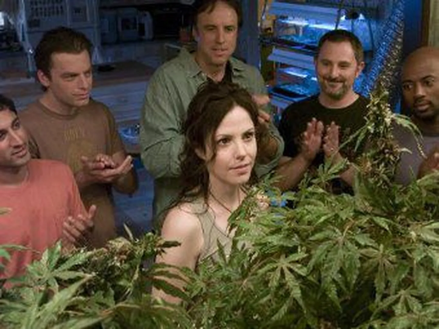 Телеканал Showtime продлил сериал "Косяки" (оригинальное название - "Weeds") на восьмой сезон.