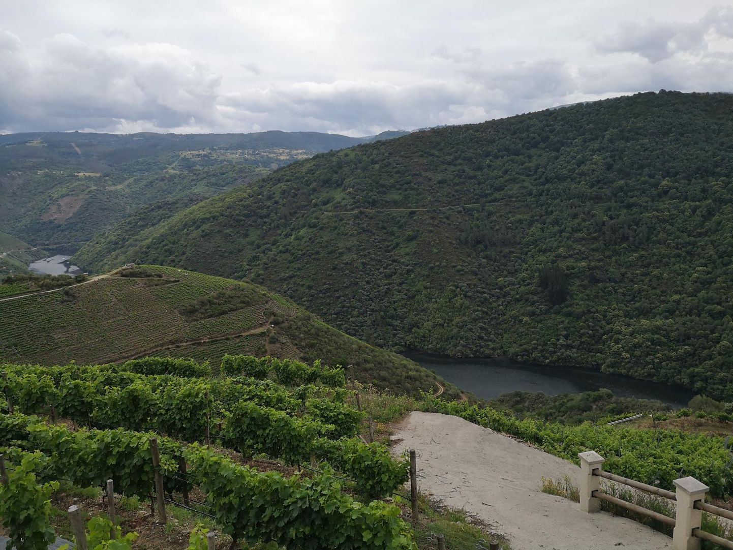 Eriilmelisi veinipiirkondi on tillukeses Galicias tervelt viis. 