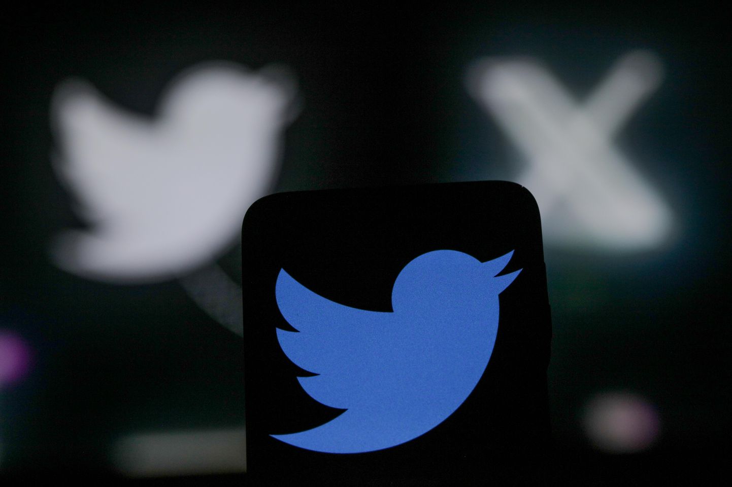 Ligi 200 miljoni aktiivse kasutajaga Twitter (otsetõlkes Säutsla) asendab sinise laulva linnukese logo must-valge sümboliga 𝕏.