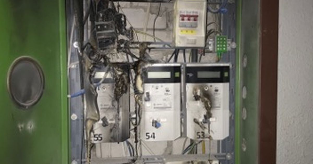 Kortermajas kärssas elektrikilp