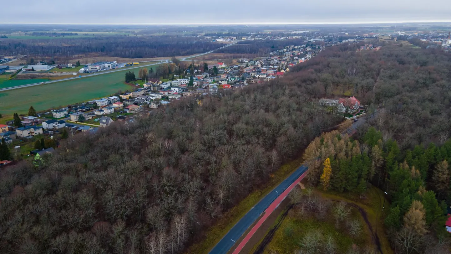 Kaitsealuse Rakvere tammiku kohal tohib helikopteriga lennata ja lennumasin võib maanduda ka tammikus paikneval erakinnistul.