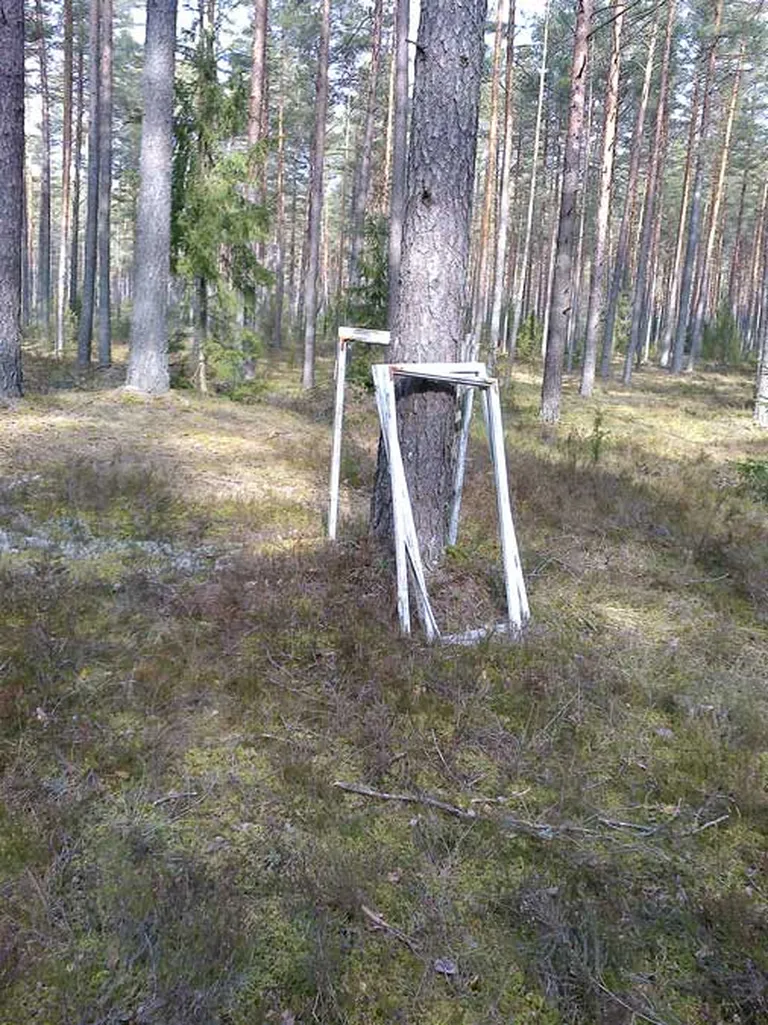 Raksta foto