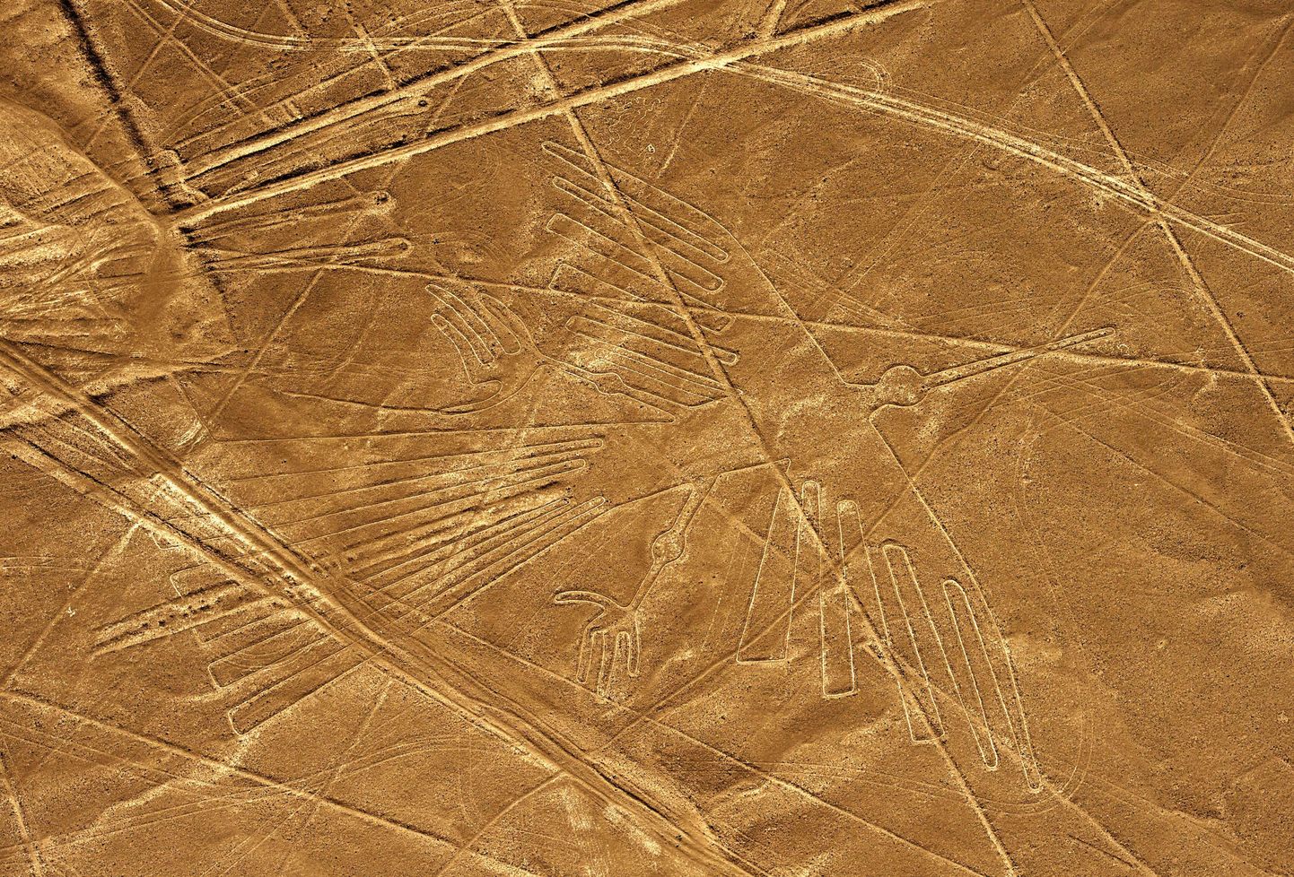 Üks Nazca geoglüüfidest, mis kujutab kondorit