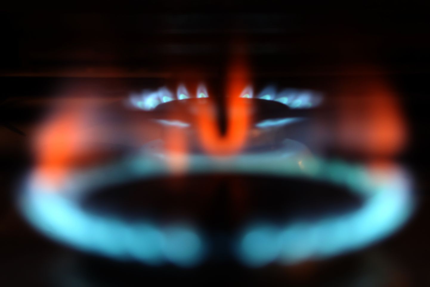 Газовая плита. Иллюстративное фото