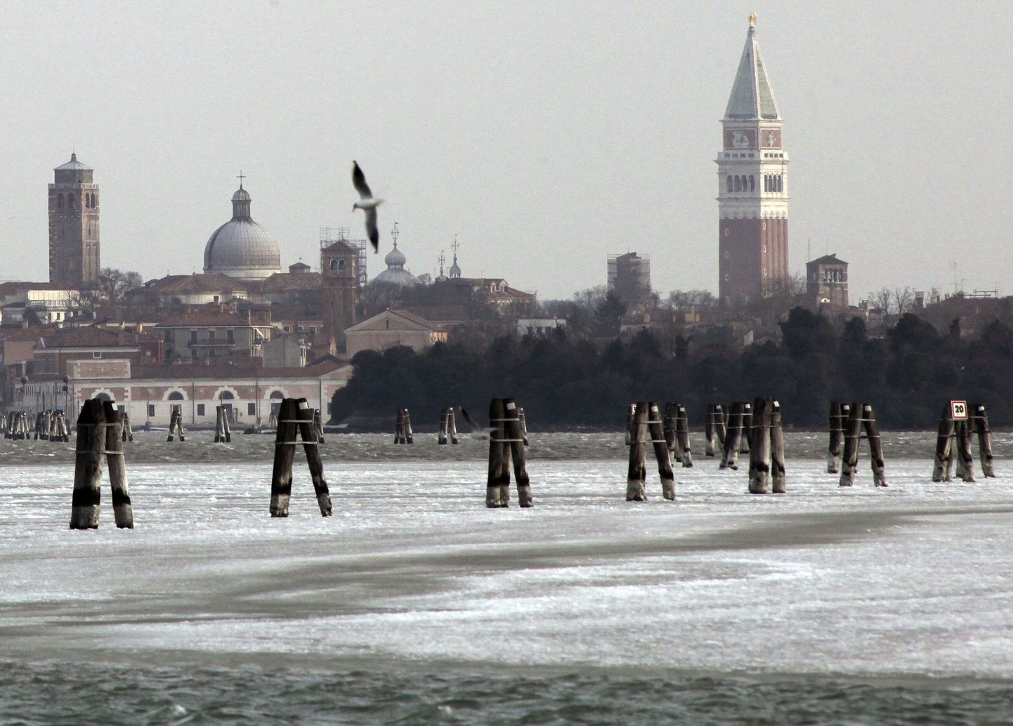 В знаменитых венецианских каналах замерзла вода