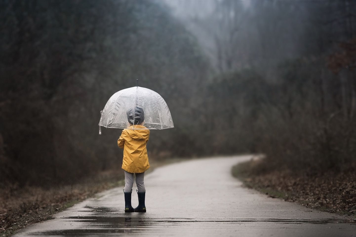 Ребенок с зонтом. Иллюстративное фото.