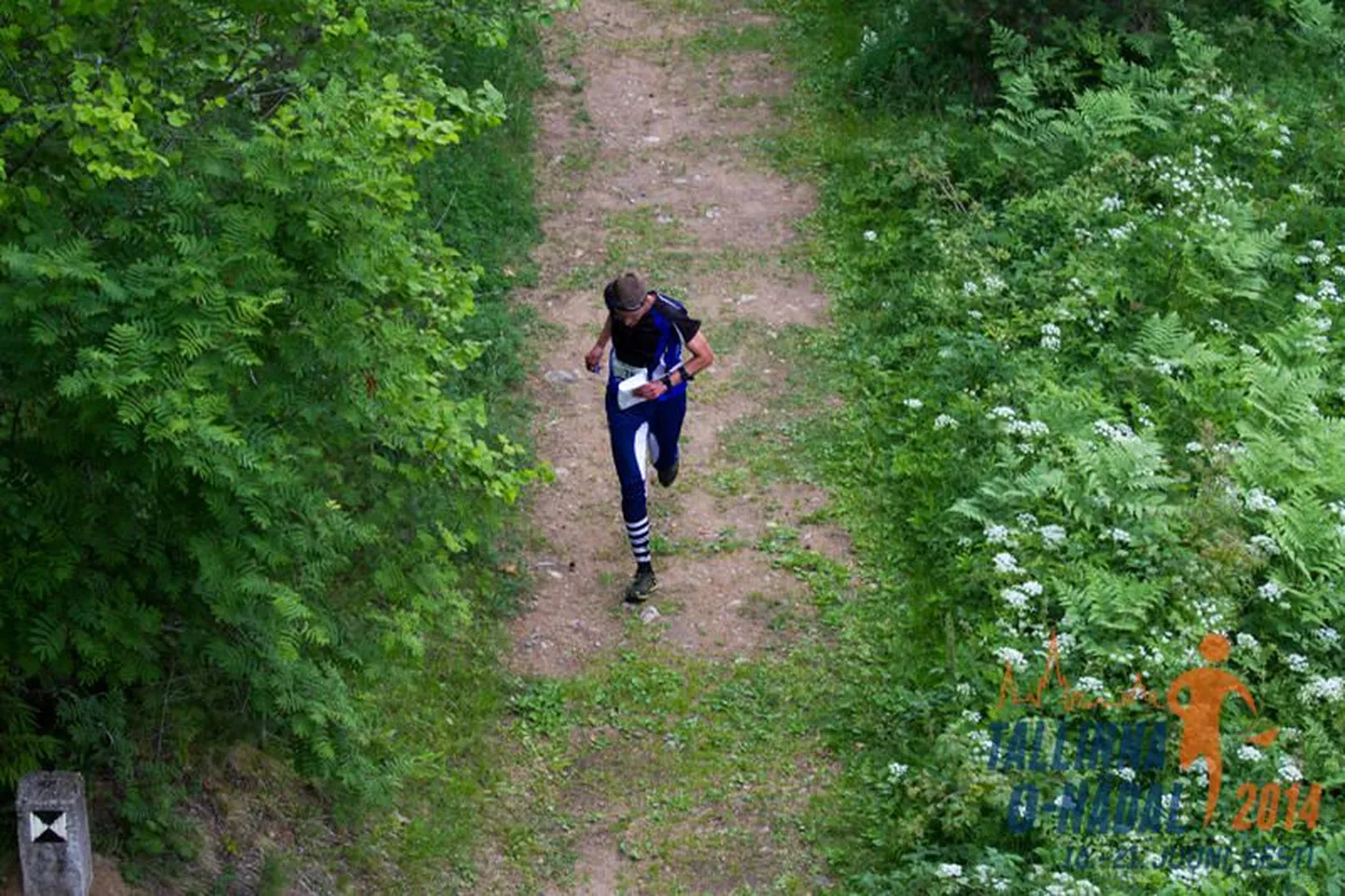 Eelmisel aastal toimunud orienteerumisvõistlus.
