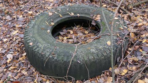 Lielajā talkā atrastas vecas mēbeles un riepas