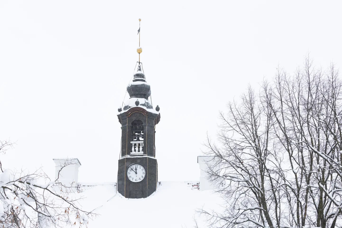 Kariljoni kellad asuvad raekoja tornis.