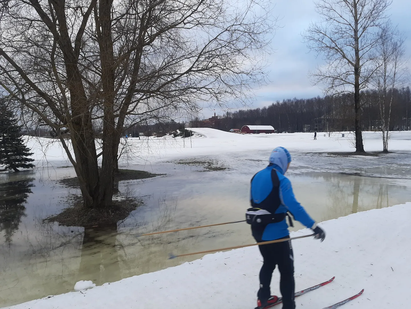 Suusataja eile pärastlõunal Supilinna spordipargis nn Lauri ringil, mil pikkust üks kilomeeter.