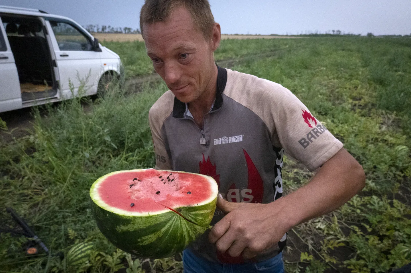 Zaporižžja oblasti talumees arbuusi lõikamas.
