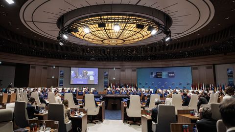 Ukraine's NATO Membership Idea Gains Unexpected Support Amid Air Defense Crisis
