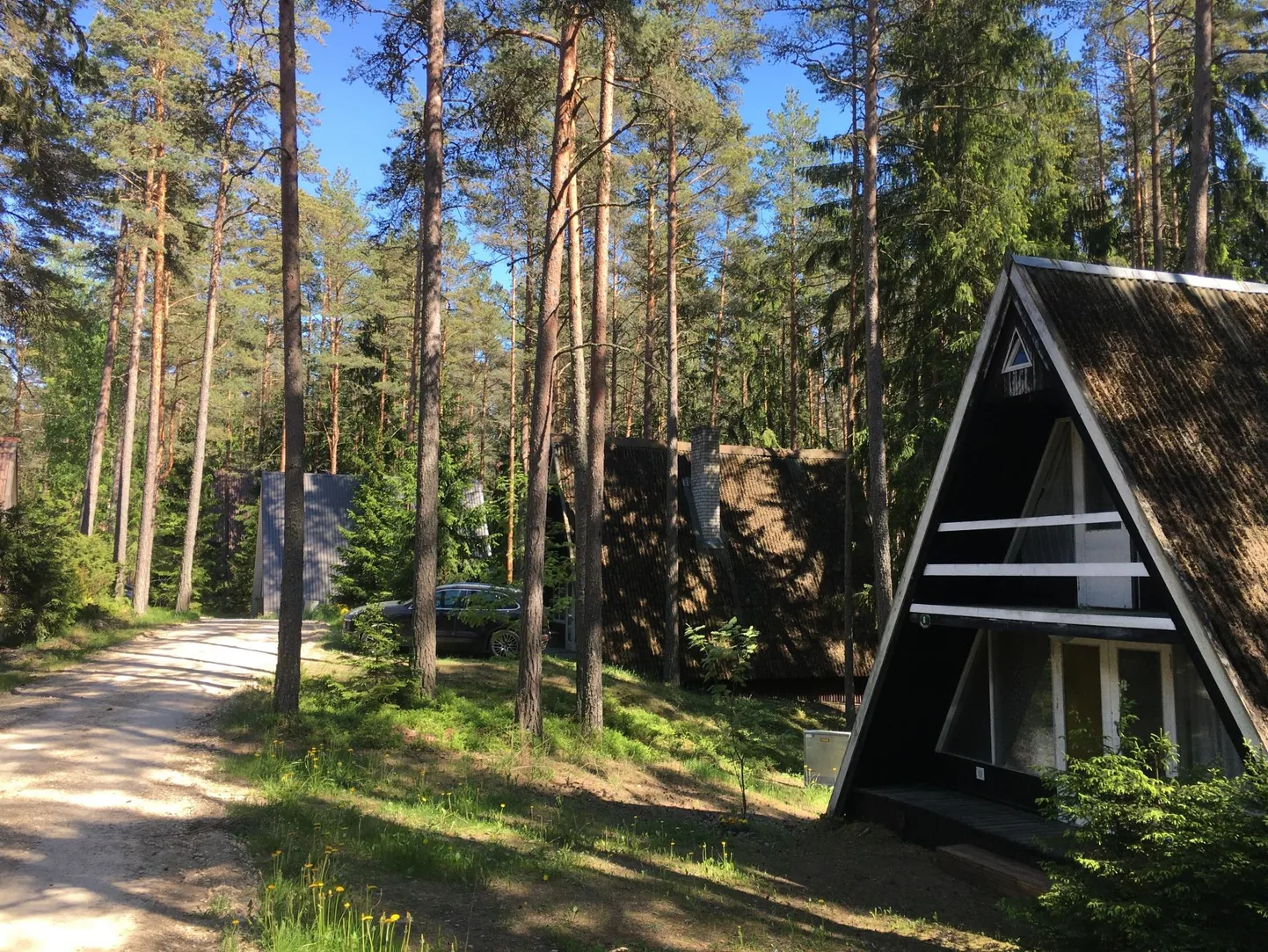 Võsul Võpsiku suvila-alal on säilitatud ajalooline suvilamiljöö, nõmmikus valitseb 1970. aastate suveolustik.