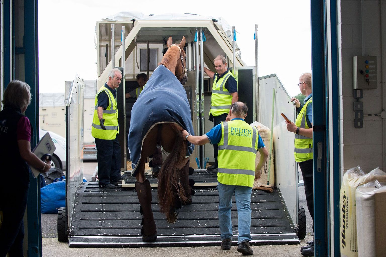 Kallis hobune, sooja hoidev
tekk seljal, sammub tallimeeste
saatel õhusõidukonteinerisse.