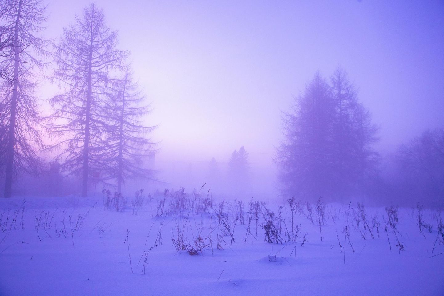 Хотя в Эстонии бывают и морозные зимы, повторение рекорда холода в ближайшие десятилетия маловероятно