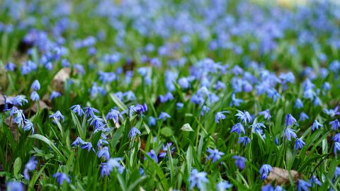 В ночь на пятницу и утром местами ожидается дождь