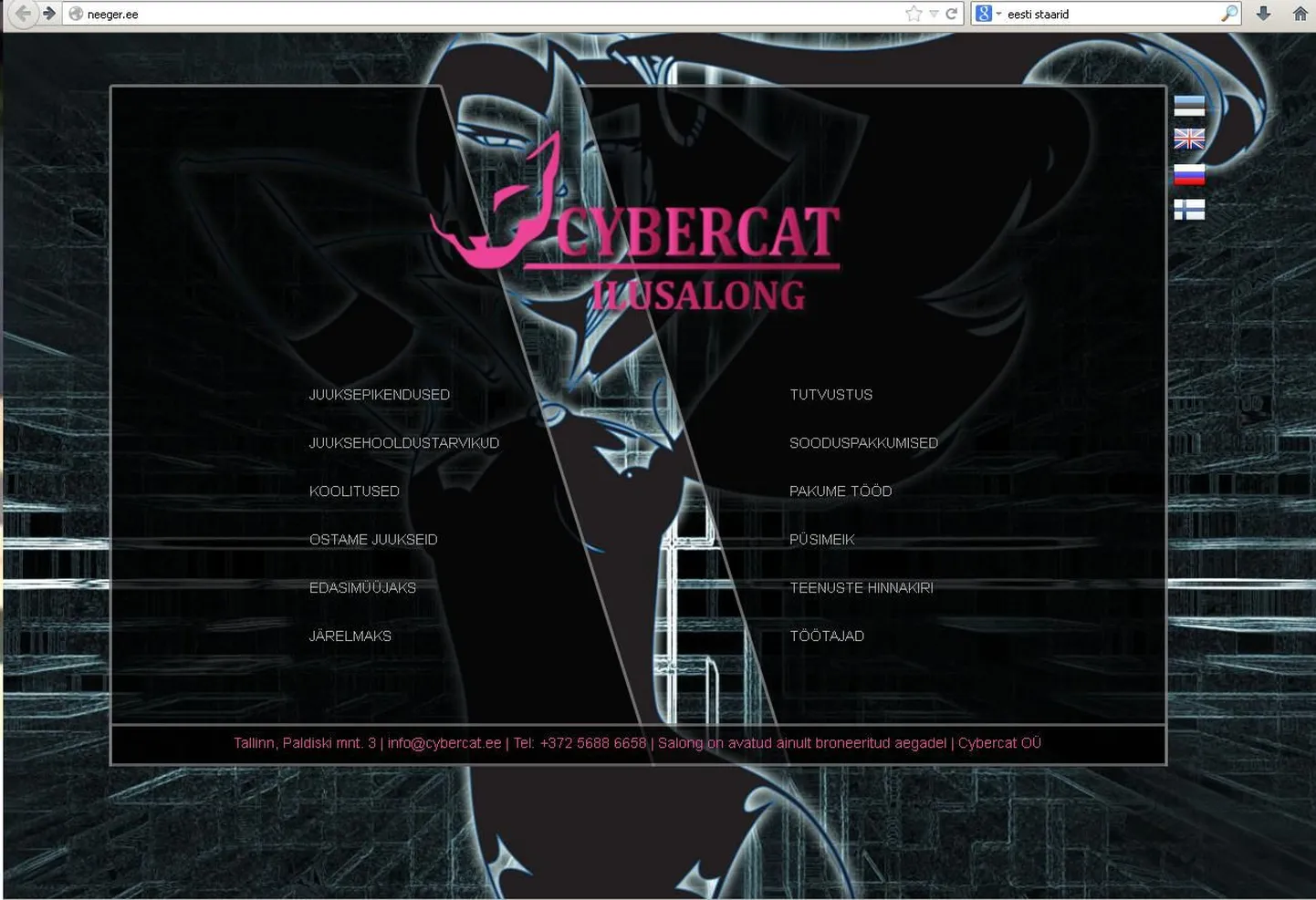 Ilusalong Cybercat