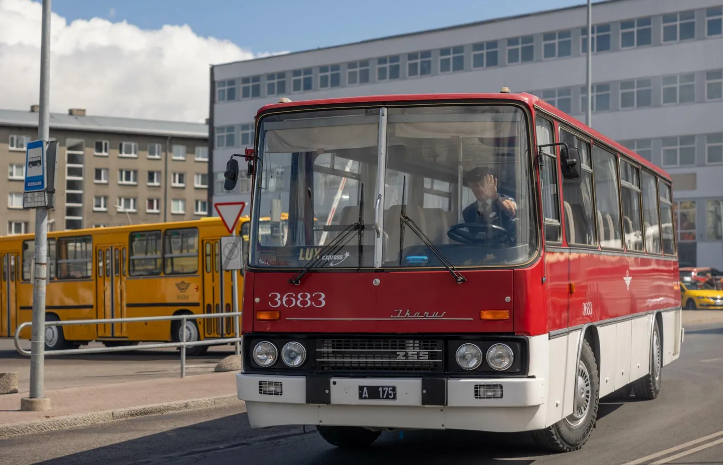 Tänavu oli retrobussifestivali fookuses Ikarus.